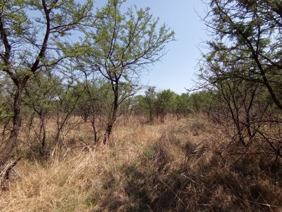 3 Bedroom Property for Sale in Parys Free State